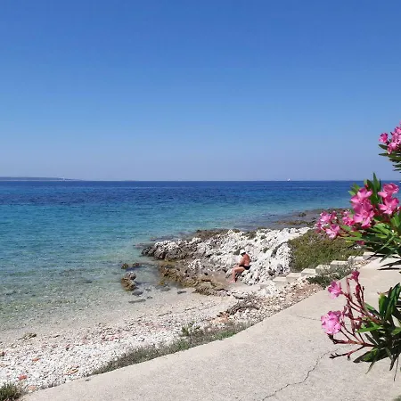 Apartman Marina